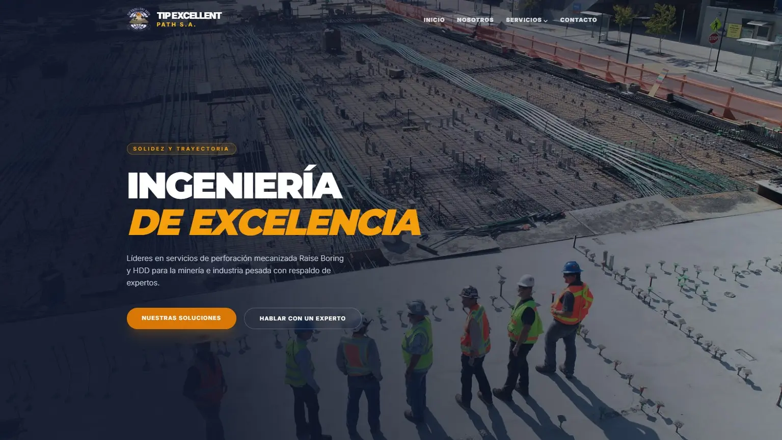 Diseño de la página web de Tip Excellent